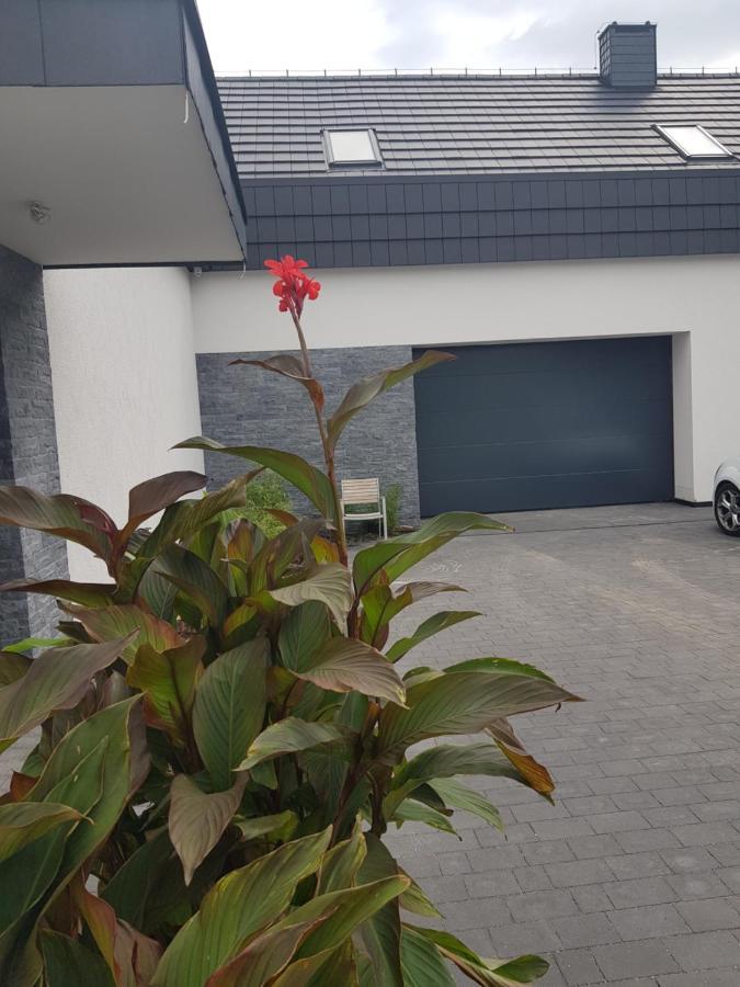 Mlynska 8 Opole-Gorki Villa Dış mekan fotoğraf