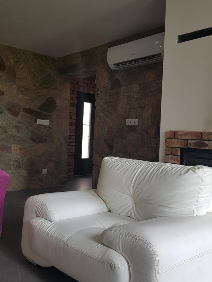 Mlynska 8 Opole-Gorki Villa Dış mekan fotoğraf