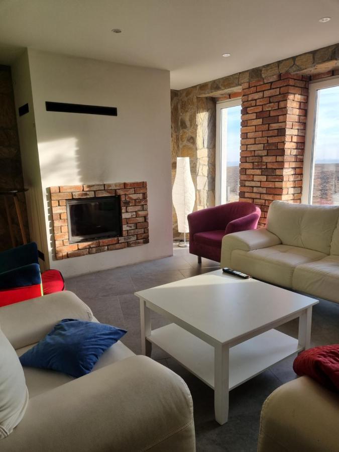 Mlynska 8 Opole-Gorki Villa Dış mekan fotoğraf